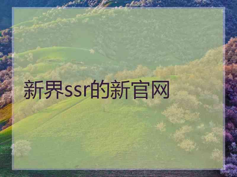 新界ssr的新官网