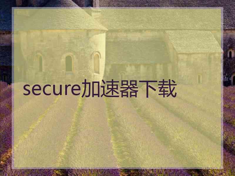 secure加速器下载