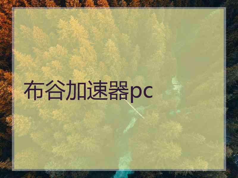 布谷加速器pc