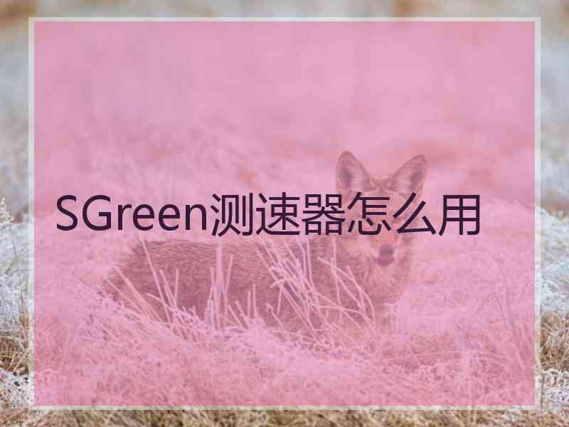 SGreen测速器怎么用