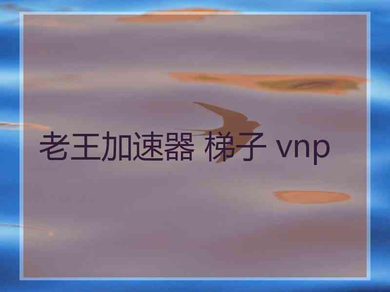 老王加速器 梯子 vnp