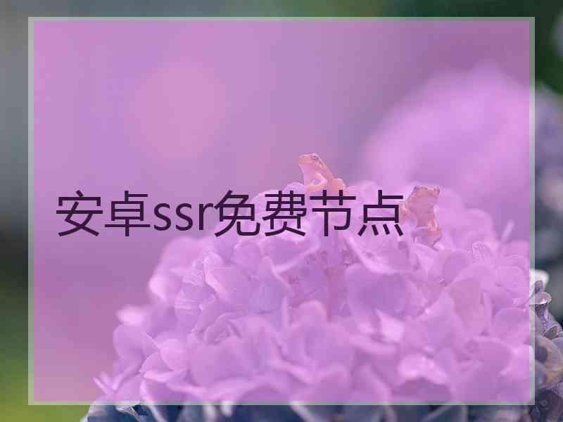 安卓ssr免费节点