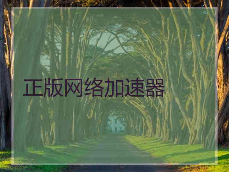 正版网络加速器