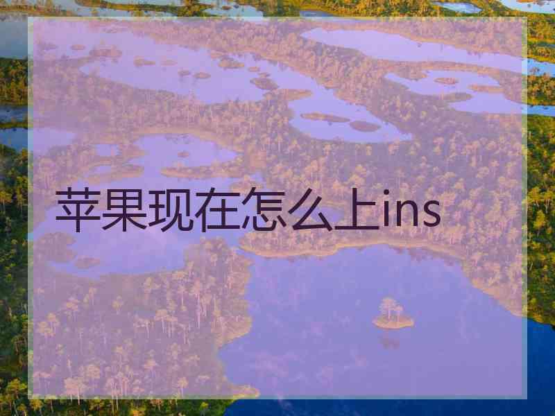 苹果现在怎么上ins