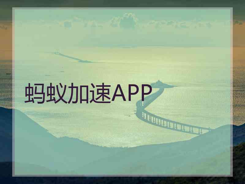 蚂蚁加速APP