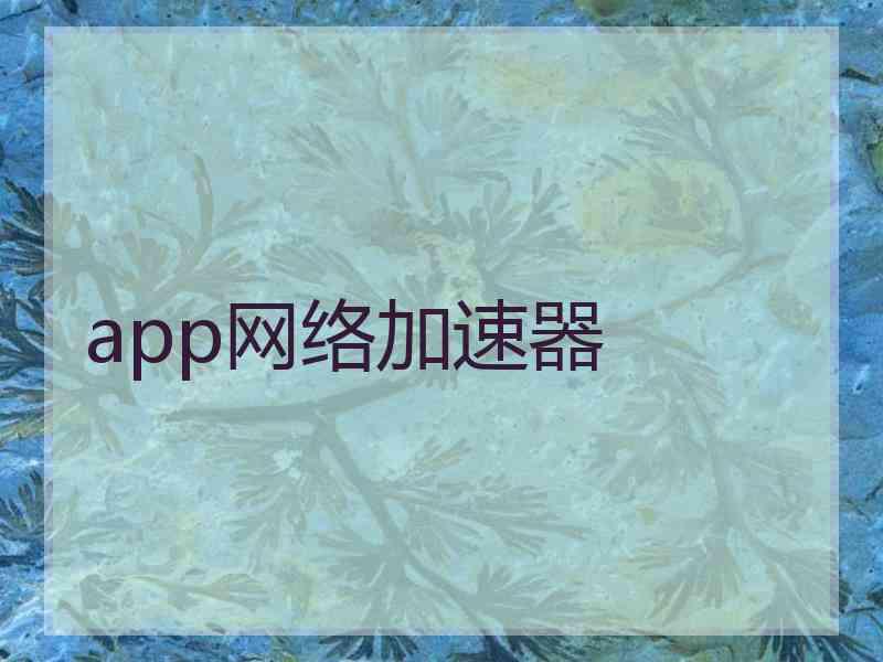 app网络加速器