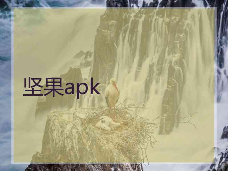 坚果apk