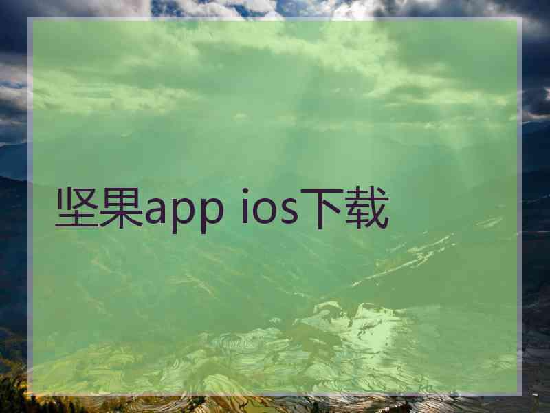 坚果app ios下载