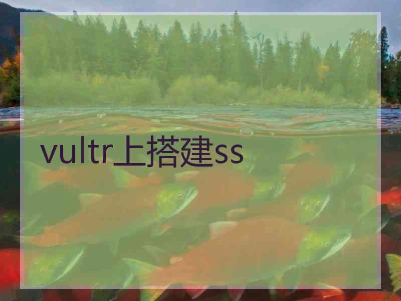 vultr上搭建ss