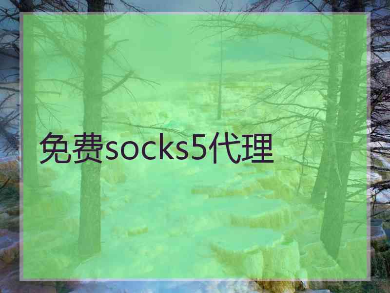 免费socks5代理