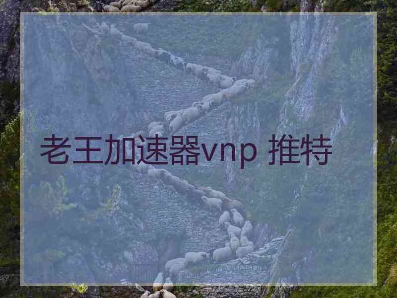 老王加速器vnp 推特